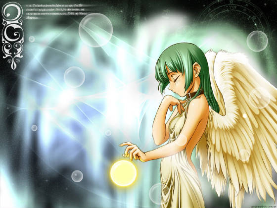 copyofwing.jpg