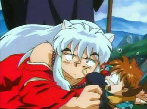 Shippo gets even